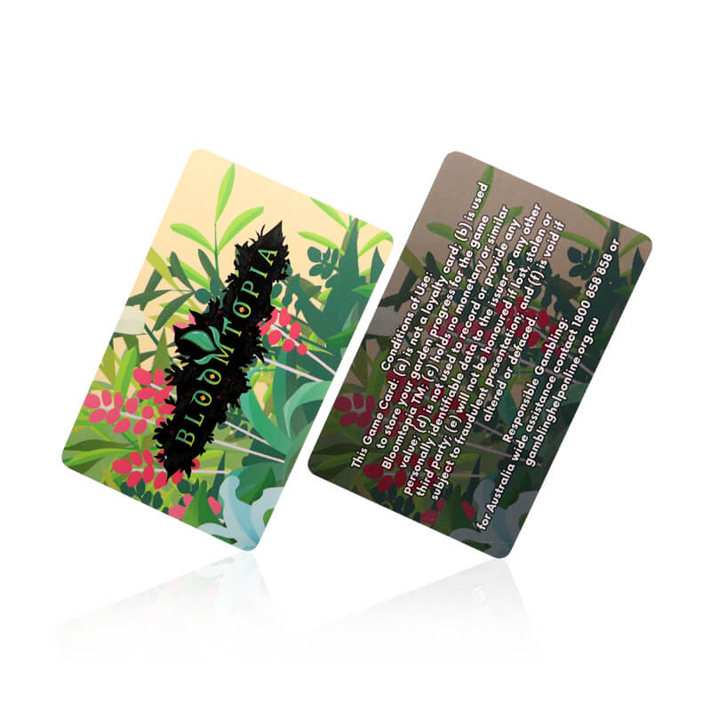 Anti-Fake 13.56Mhz RFID ISO PVC Custom Printing NFC NTAG424 DNA Card
