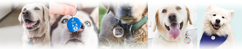 13.56MHz NFC QR Code Dog Tag