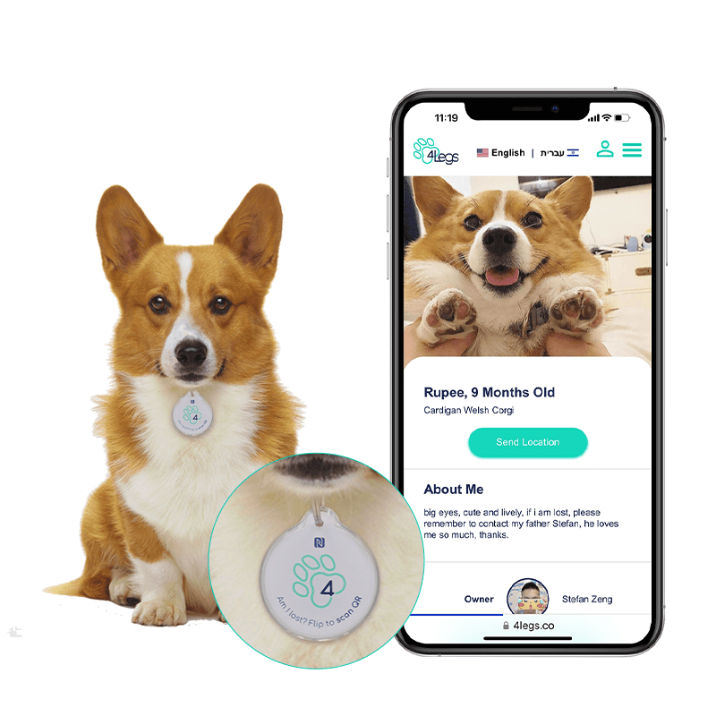 NFC PET ID Tag