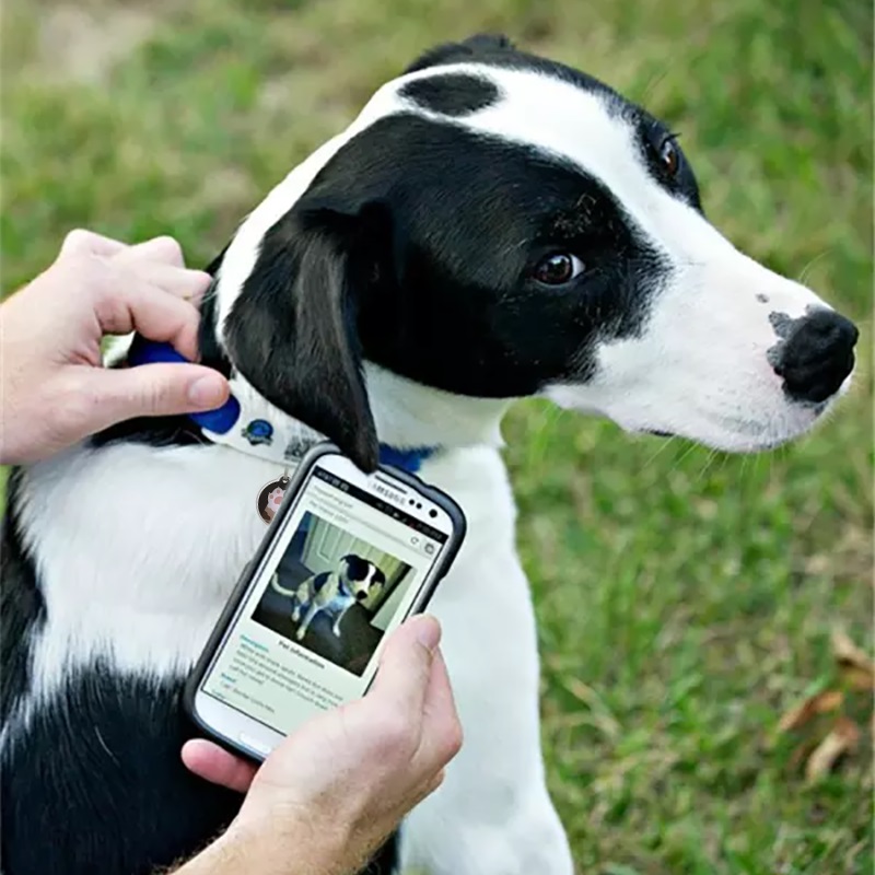 Waterproof Epoxy Smart NFC QR Code PET Dog ID Tag Manufacturer